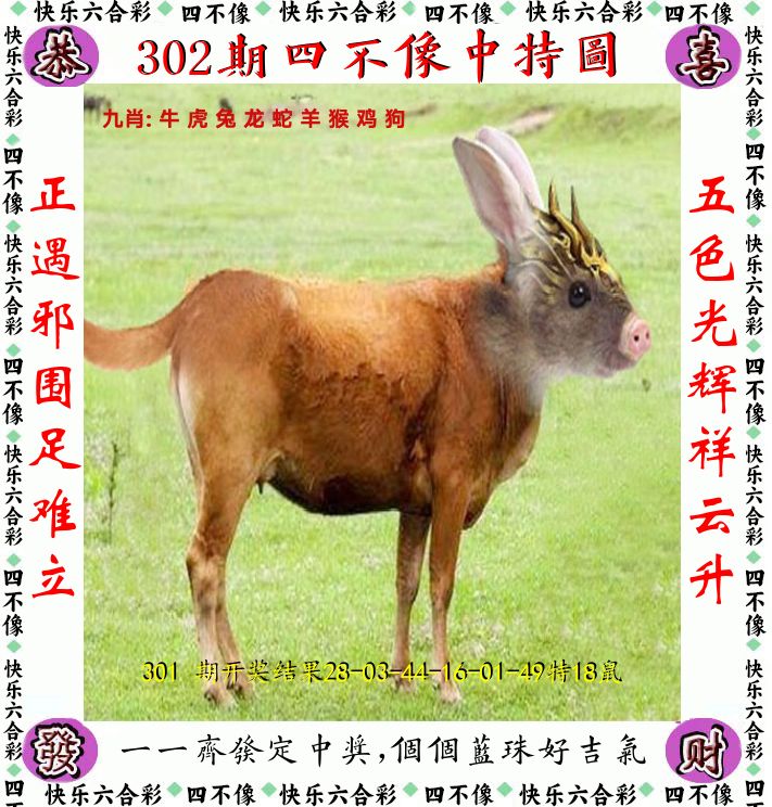 四不像 第302期
