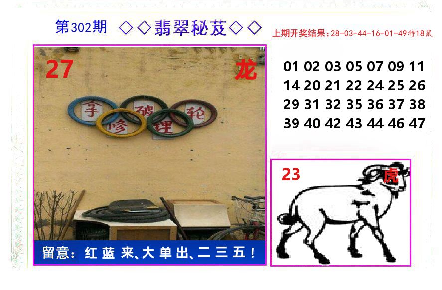 翡翠秘芨 第302期