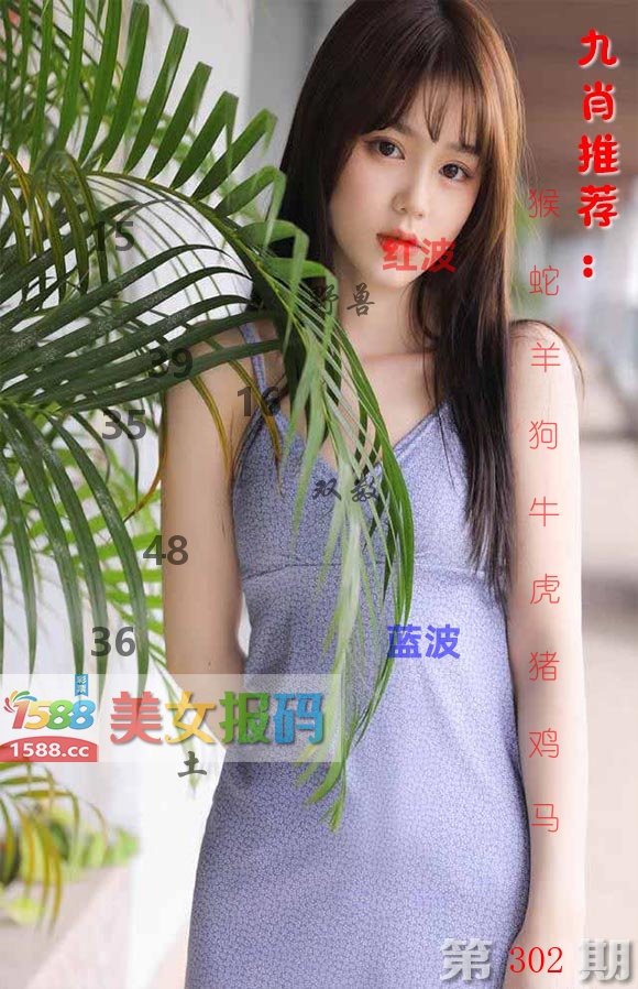 美女报码 第302期