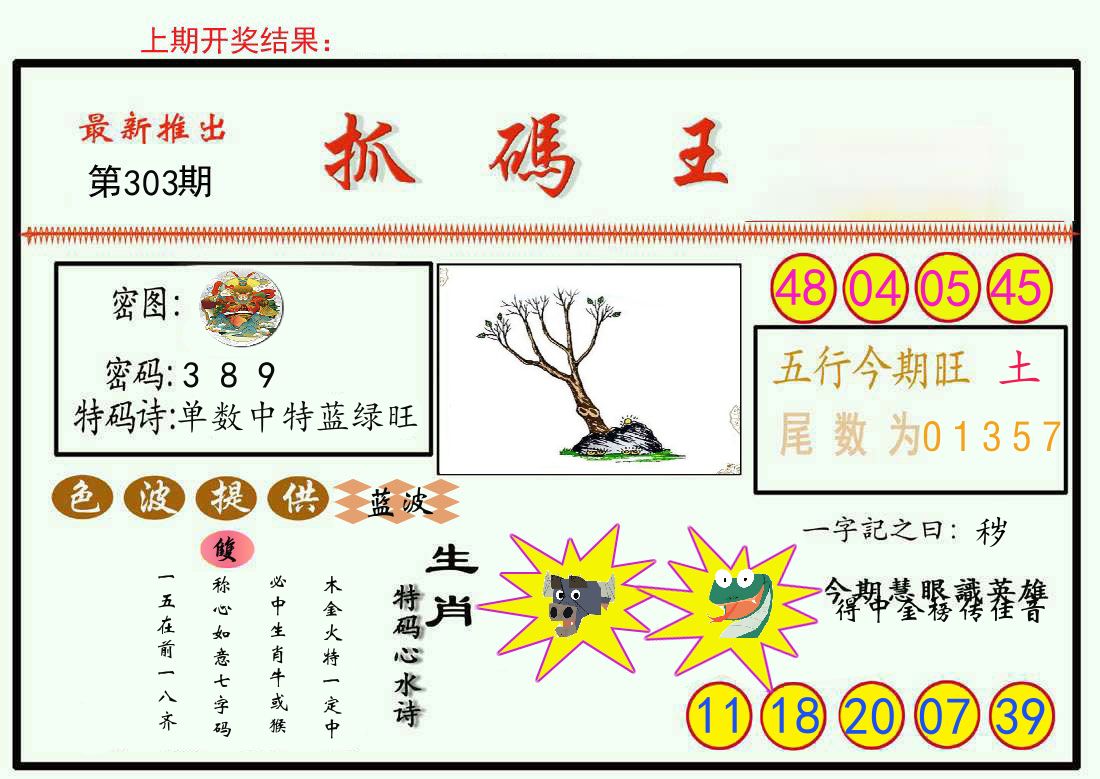 最新抓码王 第303期