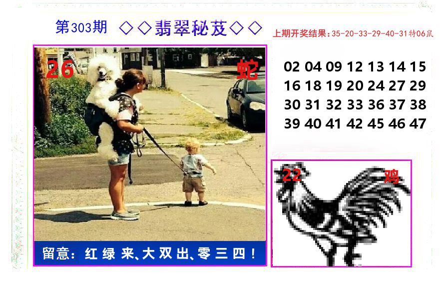 翡翠秘芨 第303期