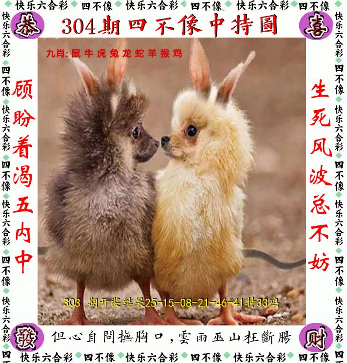 四不像 第304期