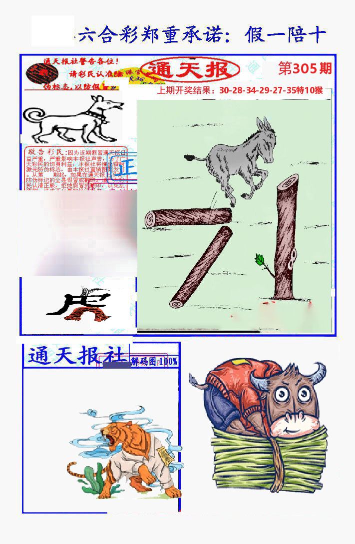 通天报 第305期