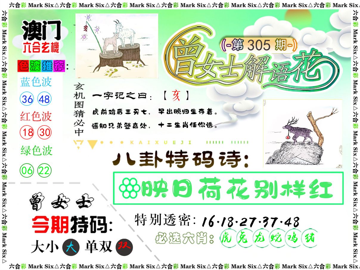 曾女士解语花 第305期