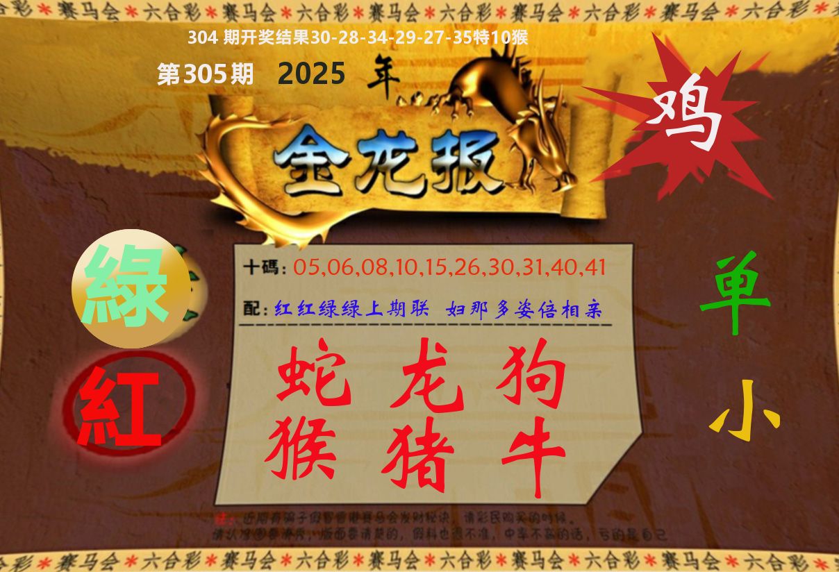 金龙报 第305期