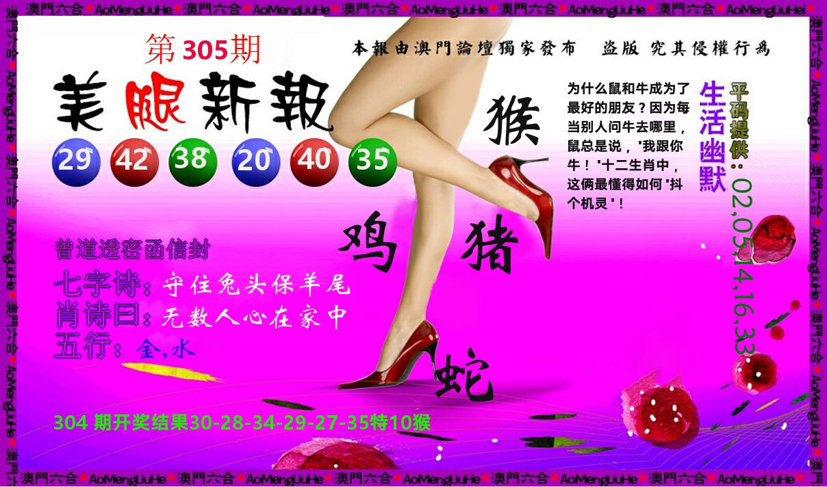 美腿新报 第305期