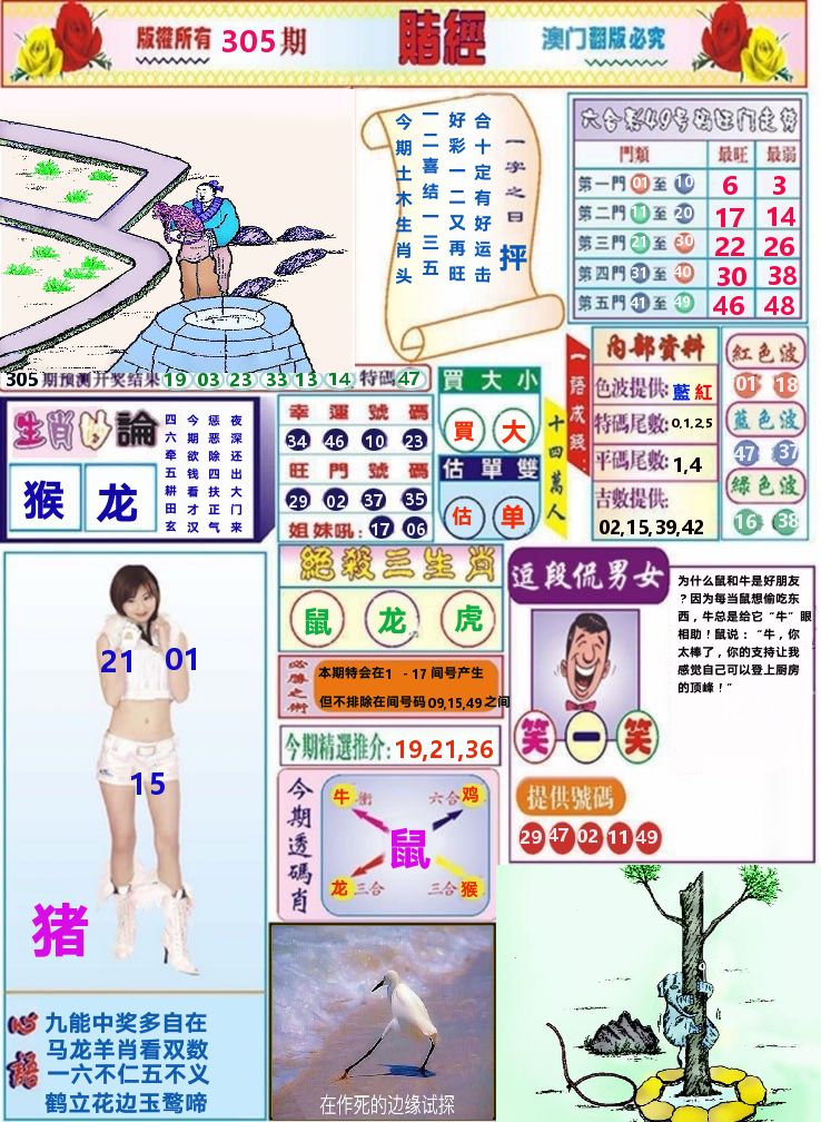 澳门赌经 第305期