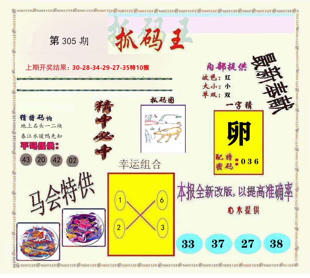 抓码王 第305期