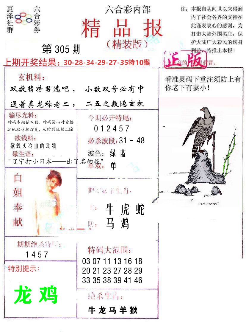 精品报 第305期