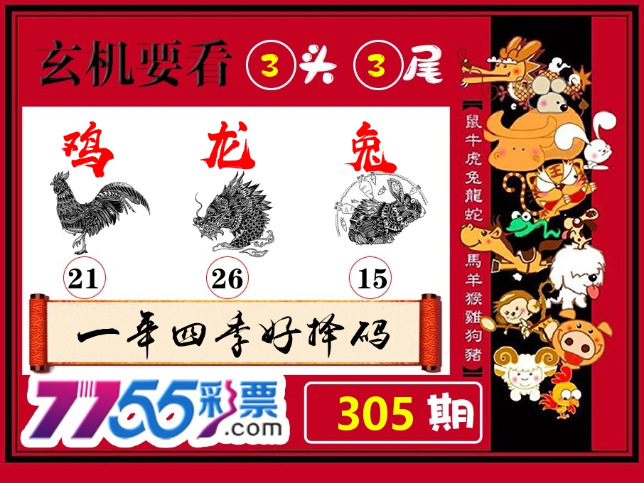 玄机要看 第305期