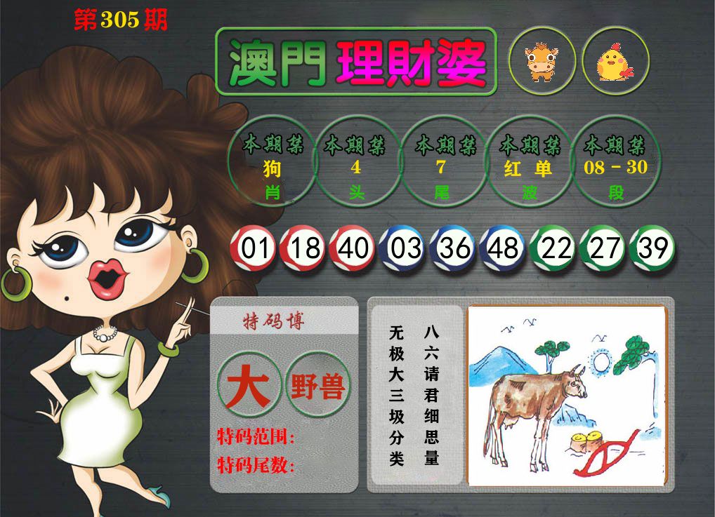 理财婆 第305期