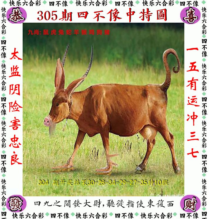 四不像 第305期