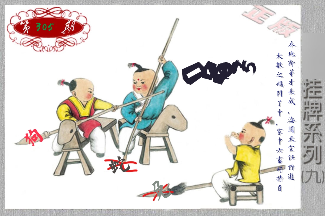 挂牌系列9 第305期
