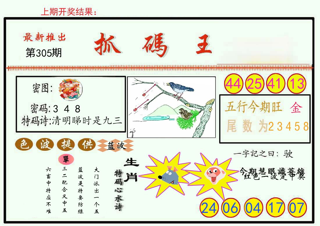 最新抓码王 第305期