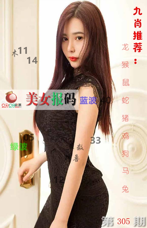 美女报码 第305期