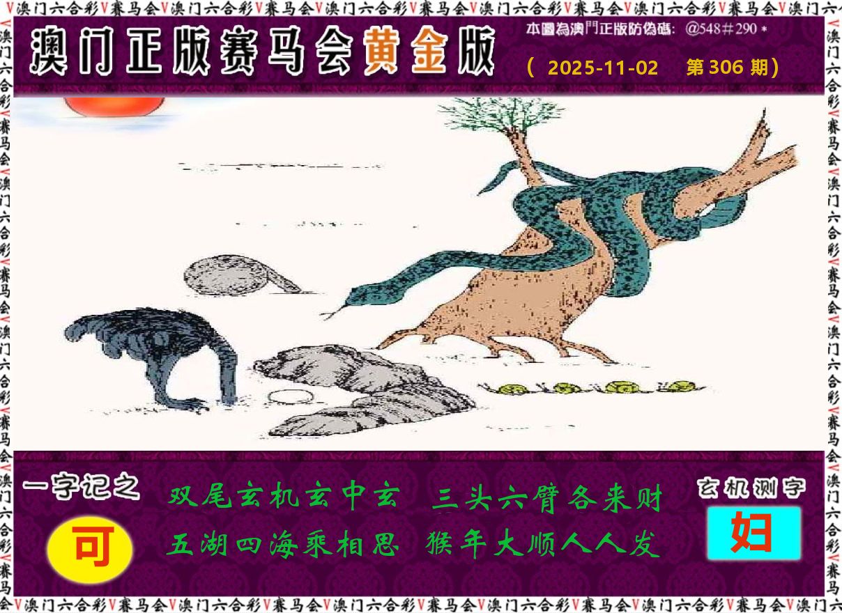 赛马会黄金版 第306期
