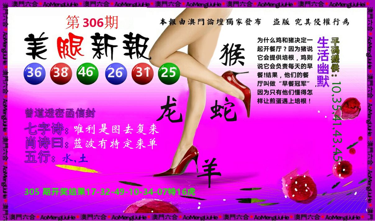 美腿新报 第306期
