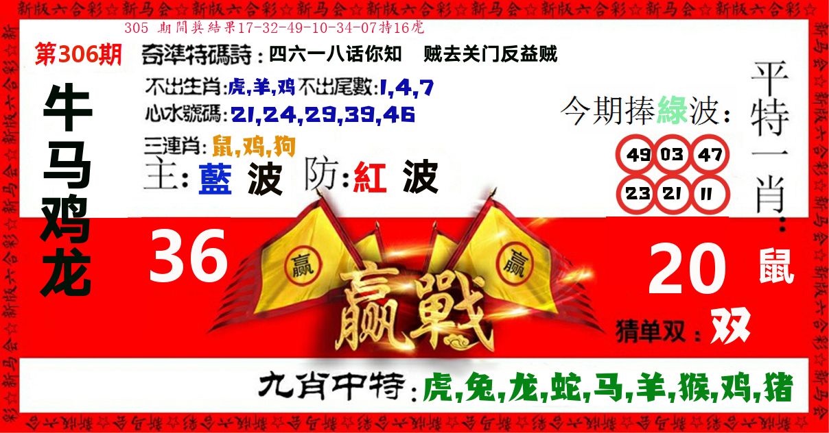 赢站 第306期