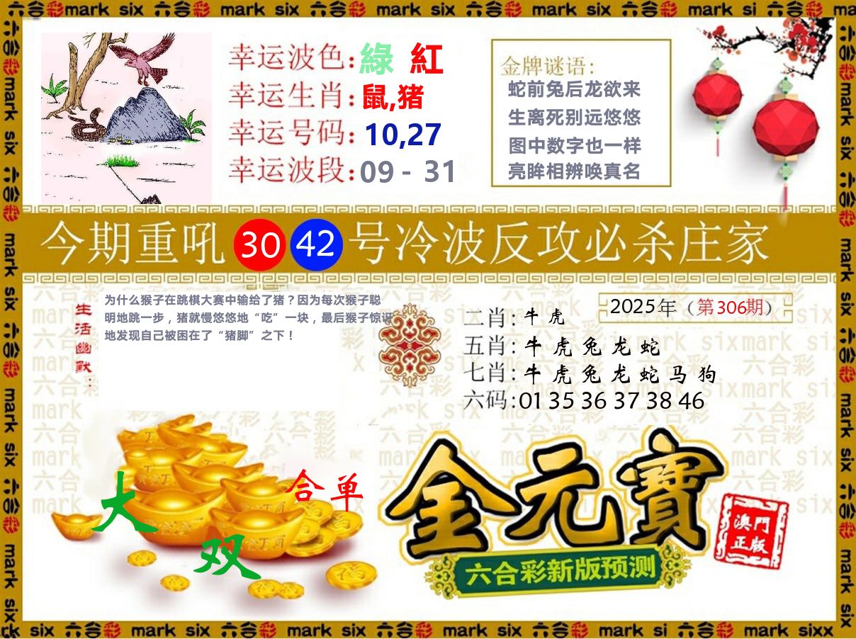 金元宝 第306期