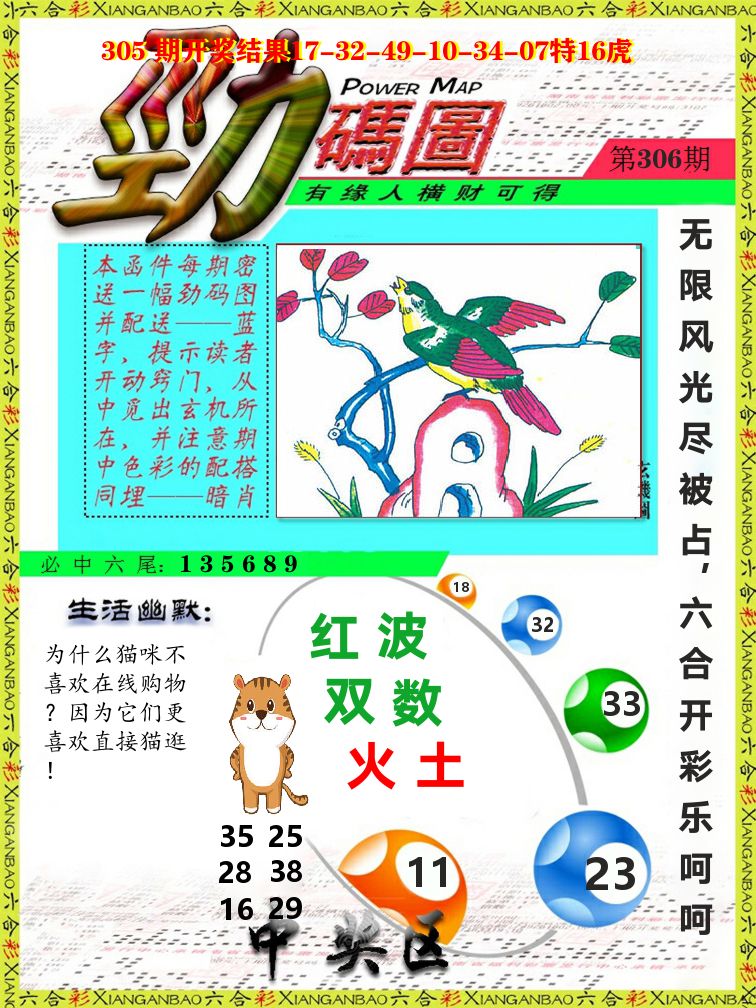 劲码图 第306期