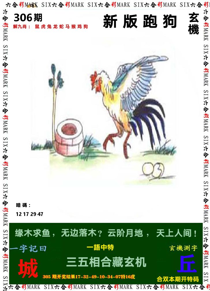 悟入其图 第306期
