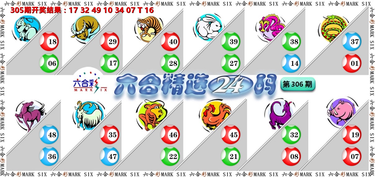 六合精选24码 第306期