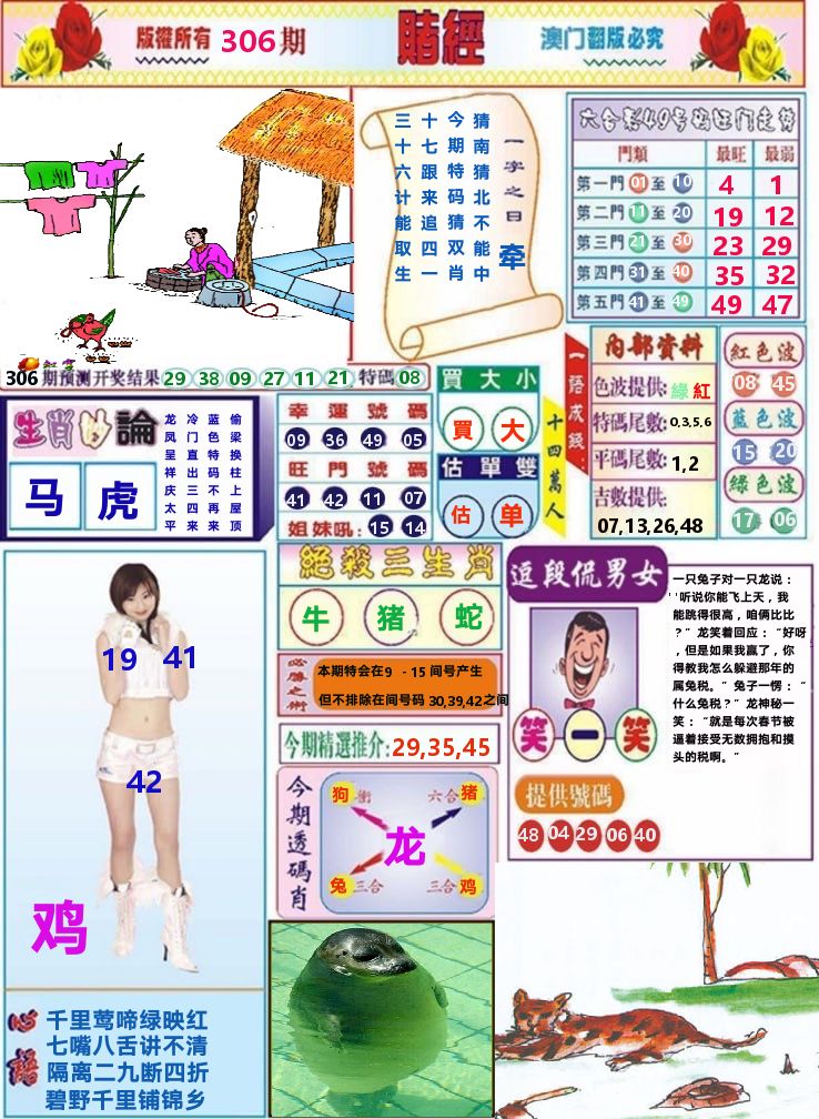 澳门赌经 第306期