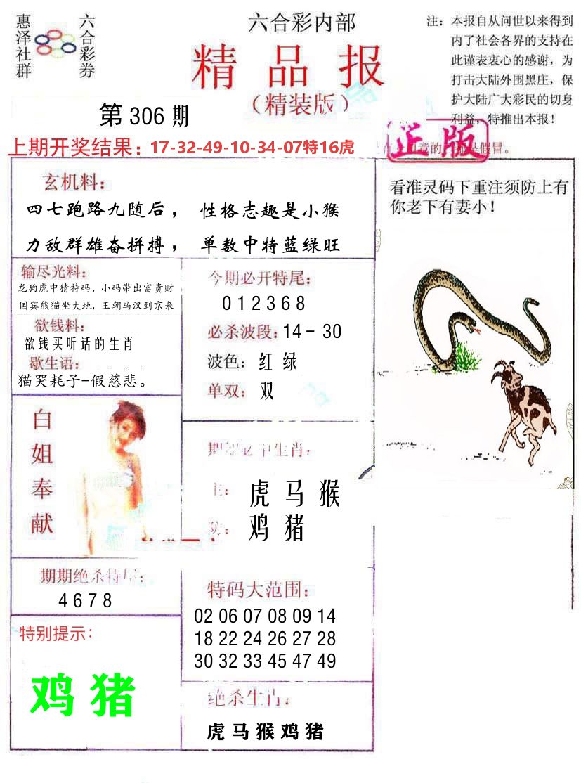 精品报 第306期