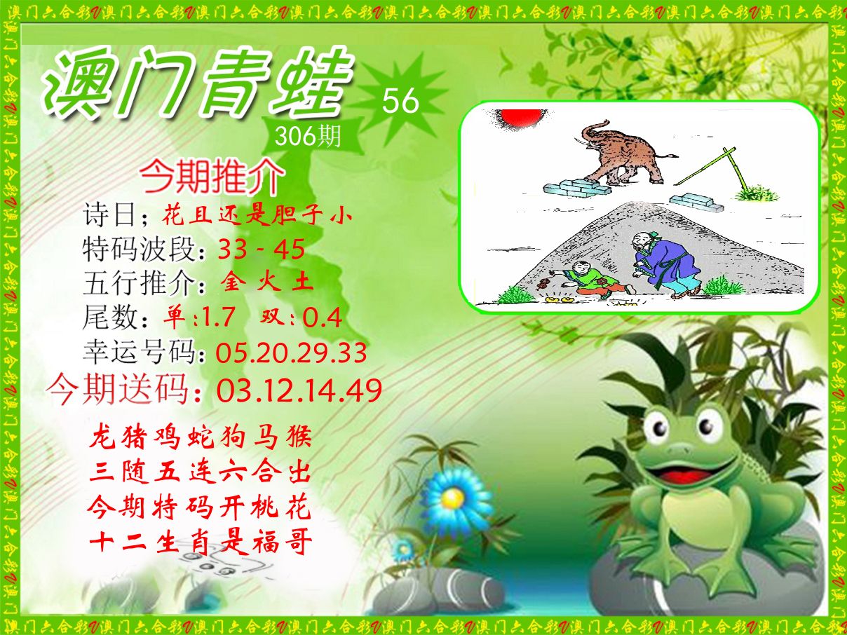 青蛙系列56 第306期