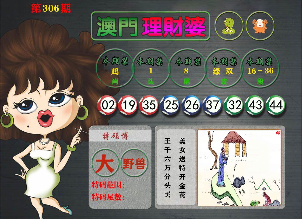 理财婆 第306期