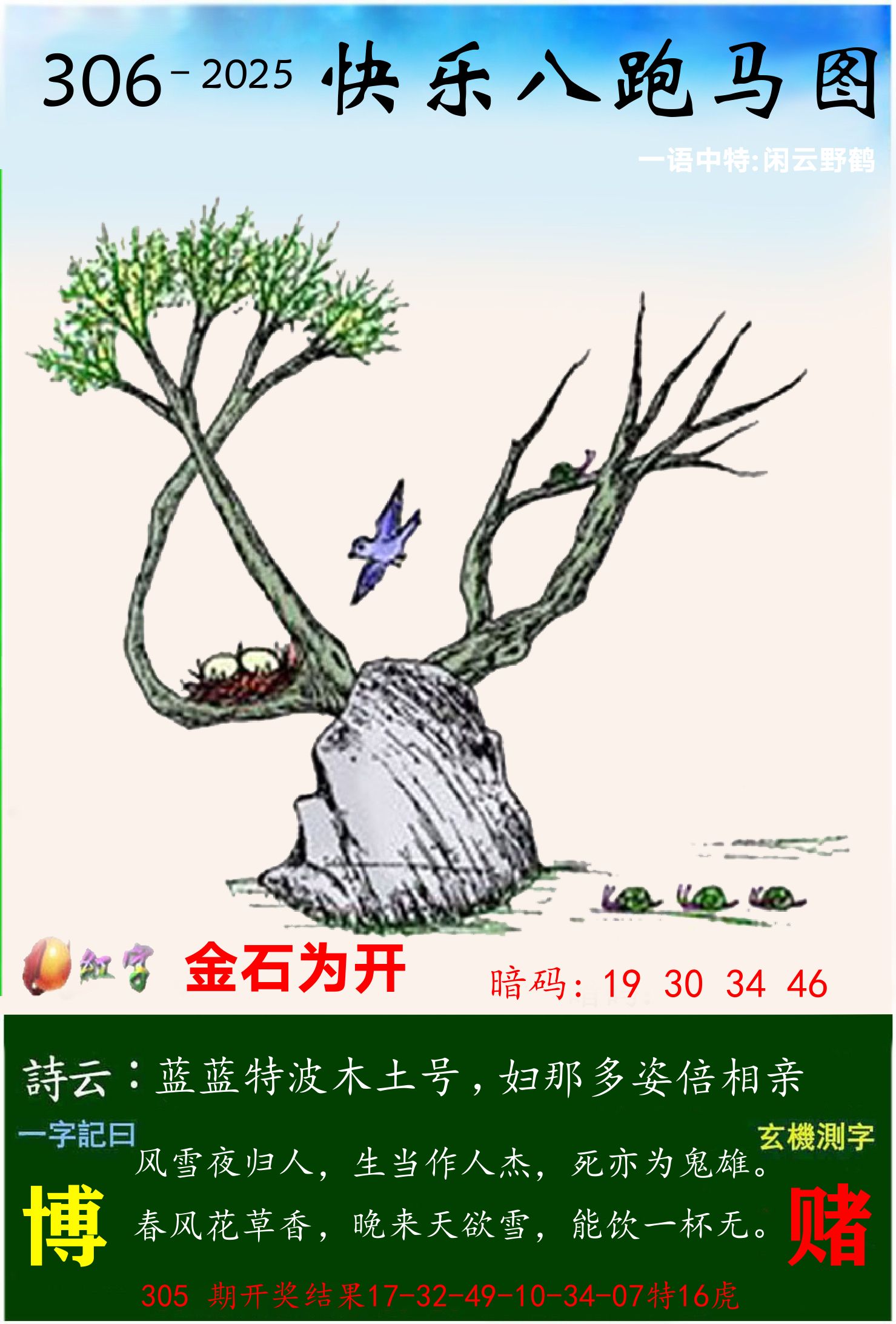 澳门跑马 第306期