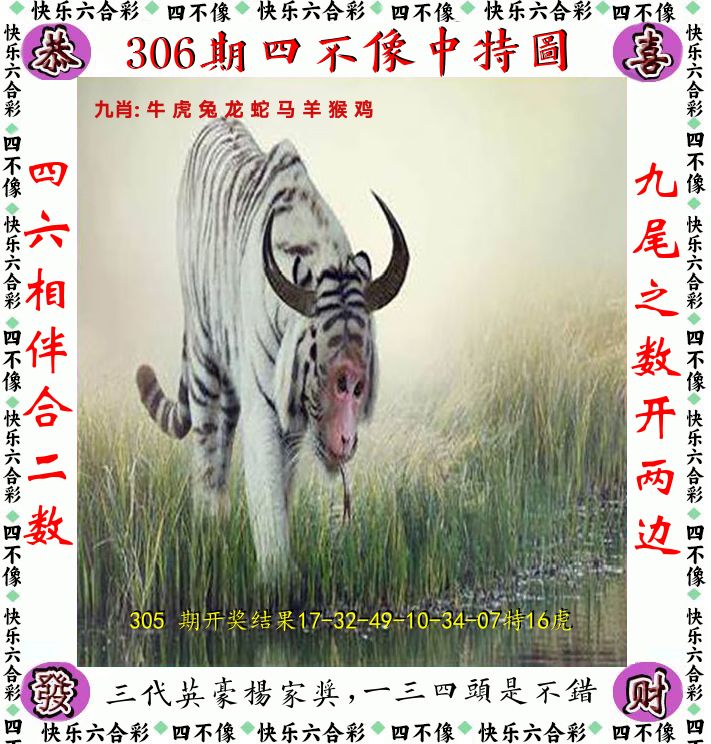 四不像 第306期