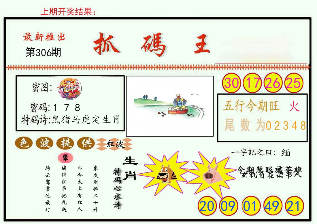 最新抓码王 第306期