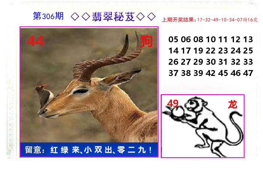 翡翠秘芨 第306期