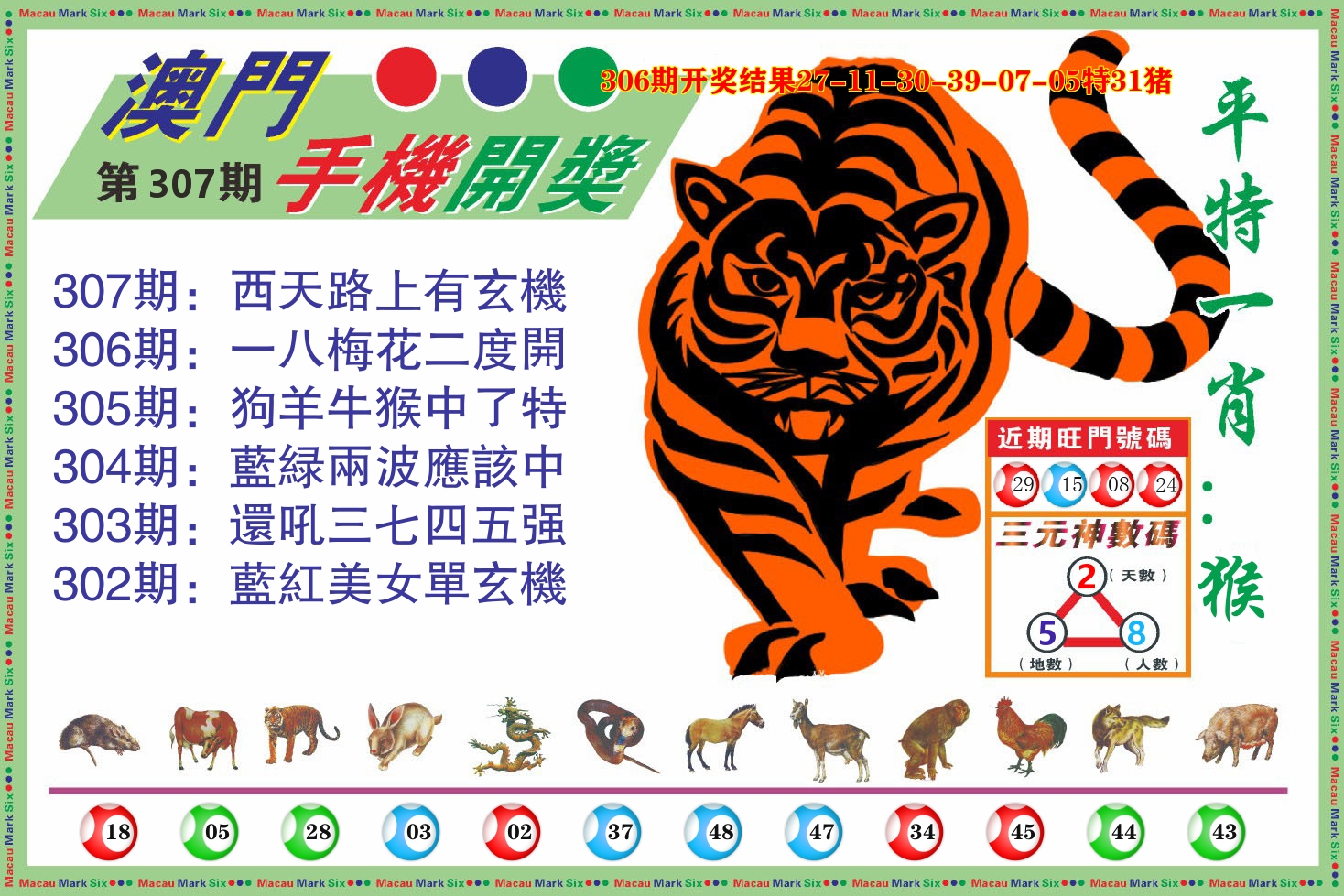 澳门开奖报 第307期