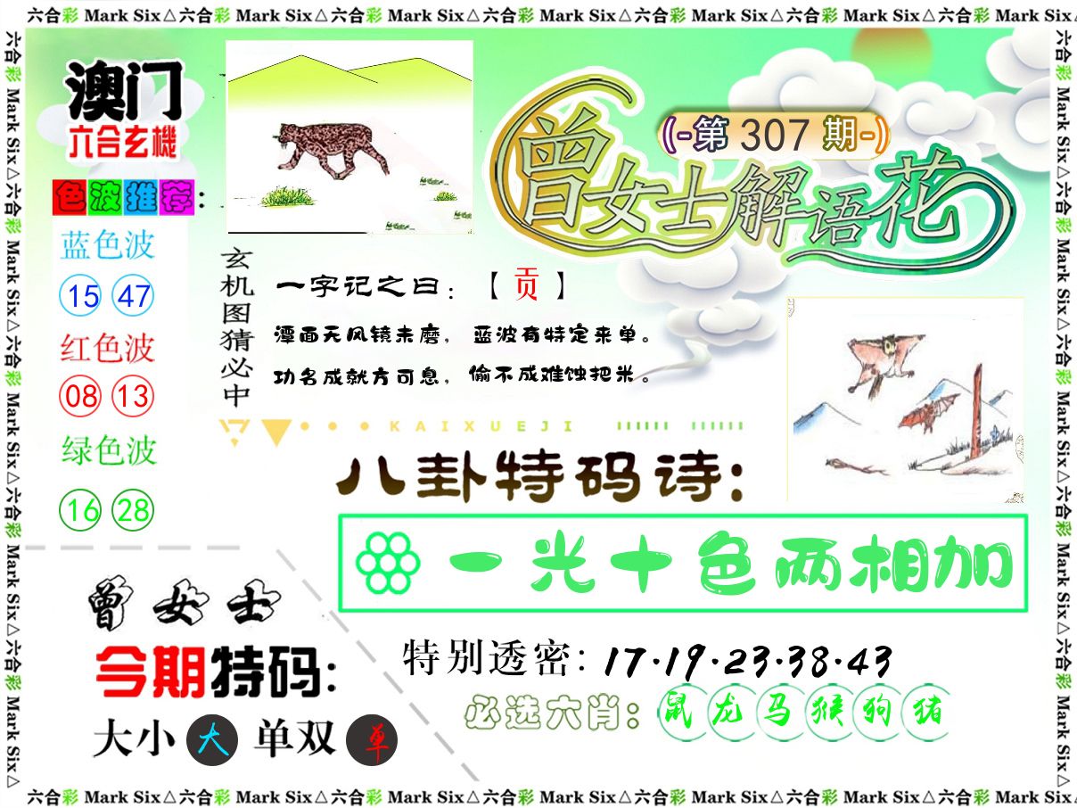 曾女士解语花 第307期