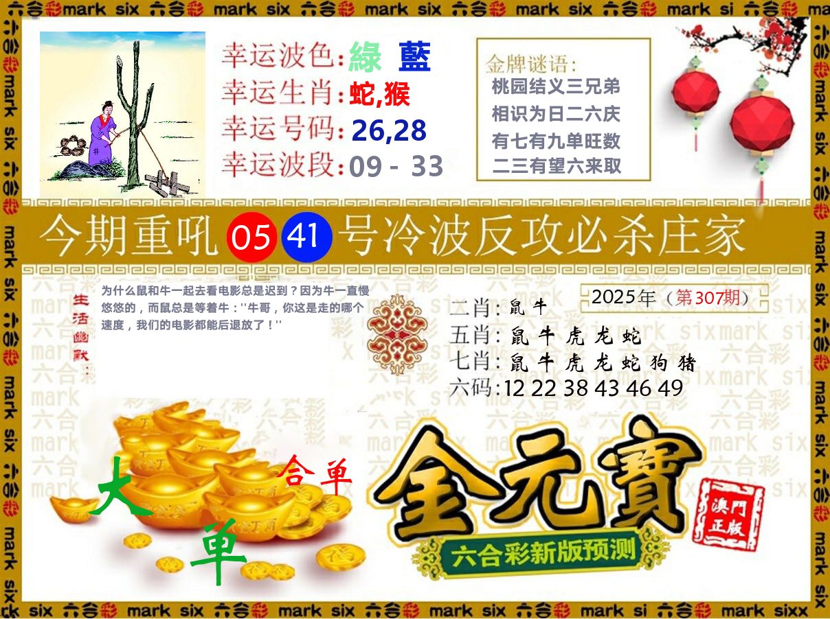 金元宝 第307期