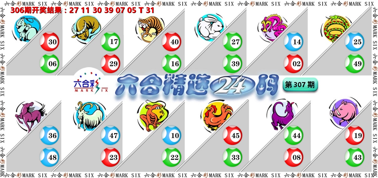 六合精选24码 第307期