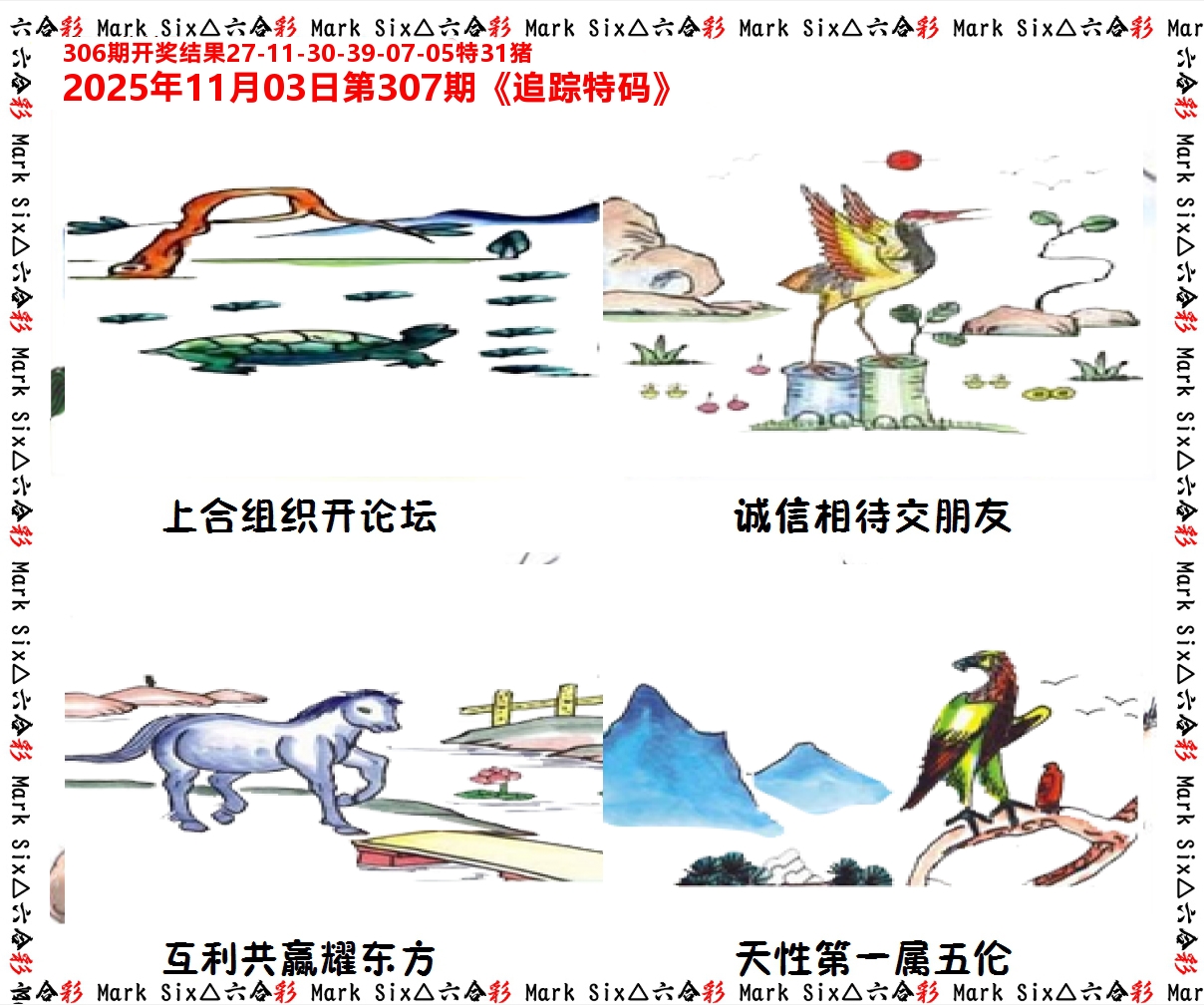 追踪特码 第307期