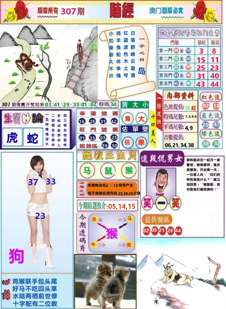 澳门赌经 第307期