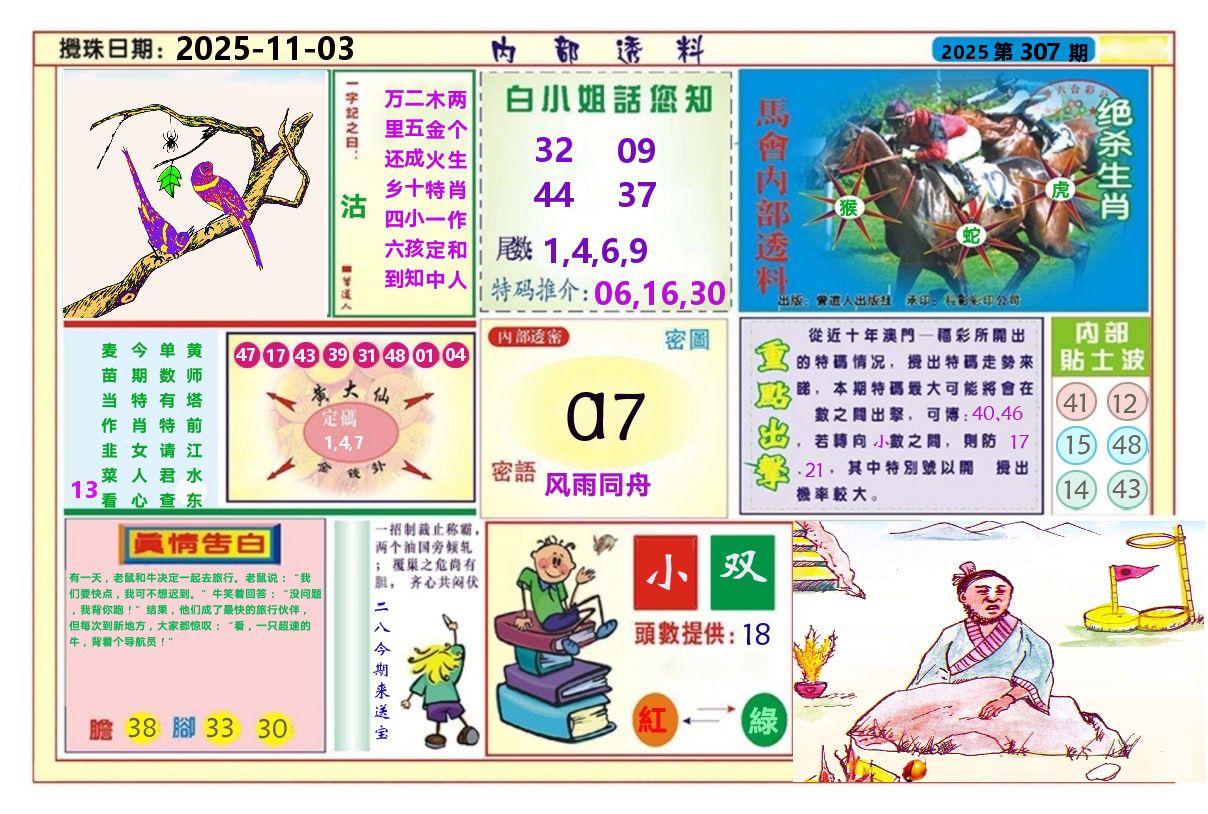 澳门内部透料A 第307期