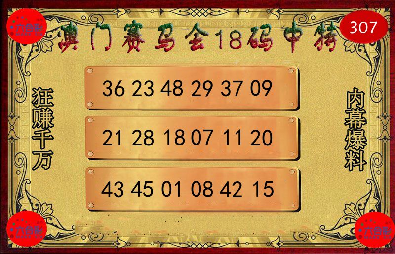赛马会18码 第307期