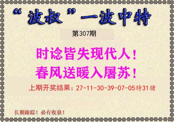 波叔中特 第307期