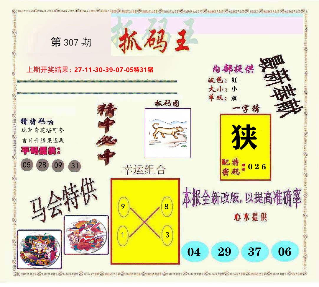 抓码王 第307期