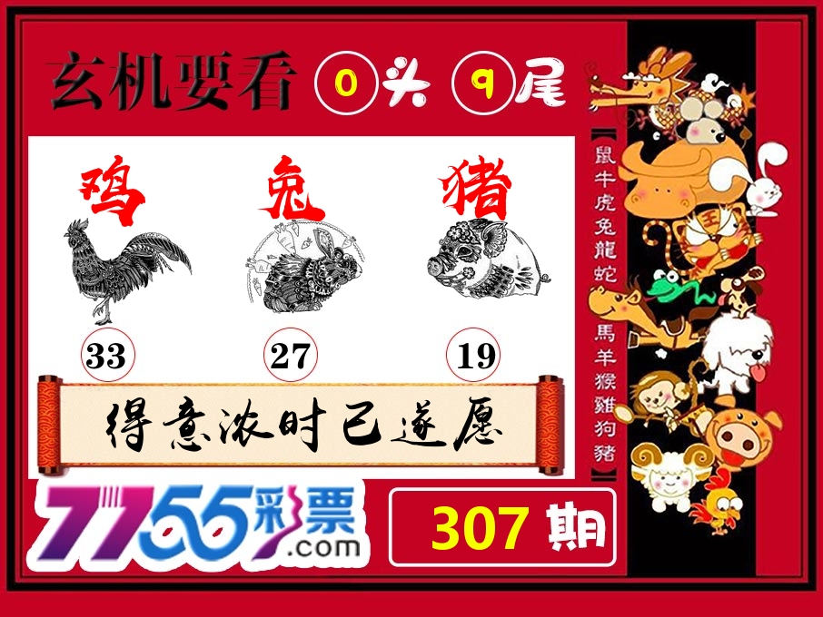 玄机要看 第307期