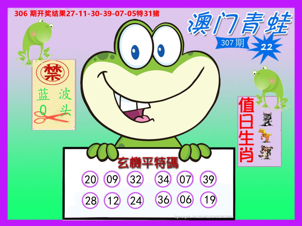 青蛙系列22 第307期