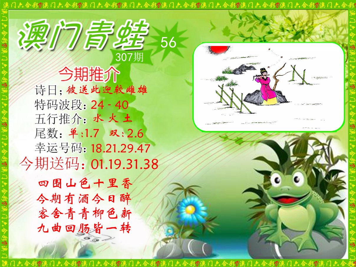青蛙系列56 第307期
