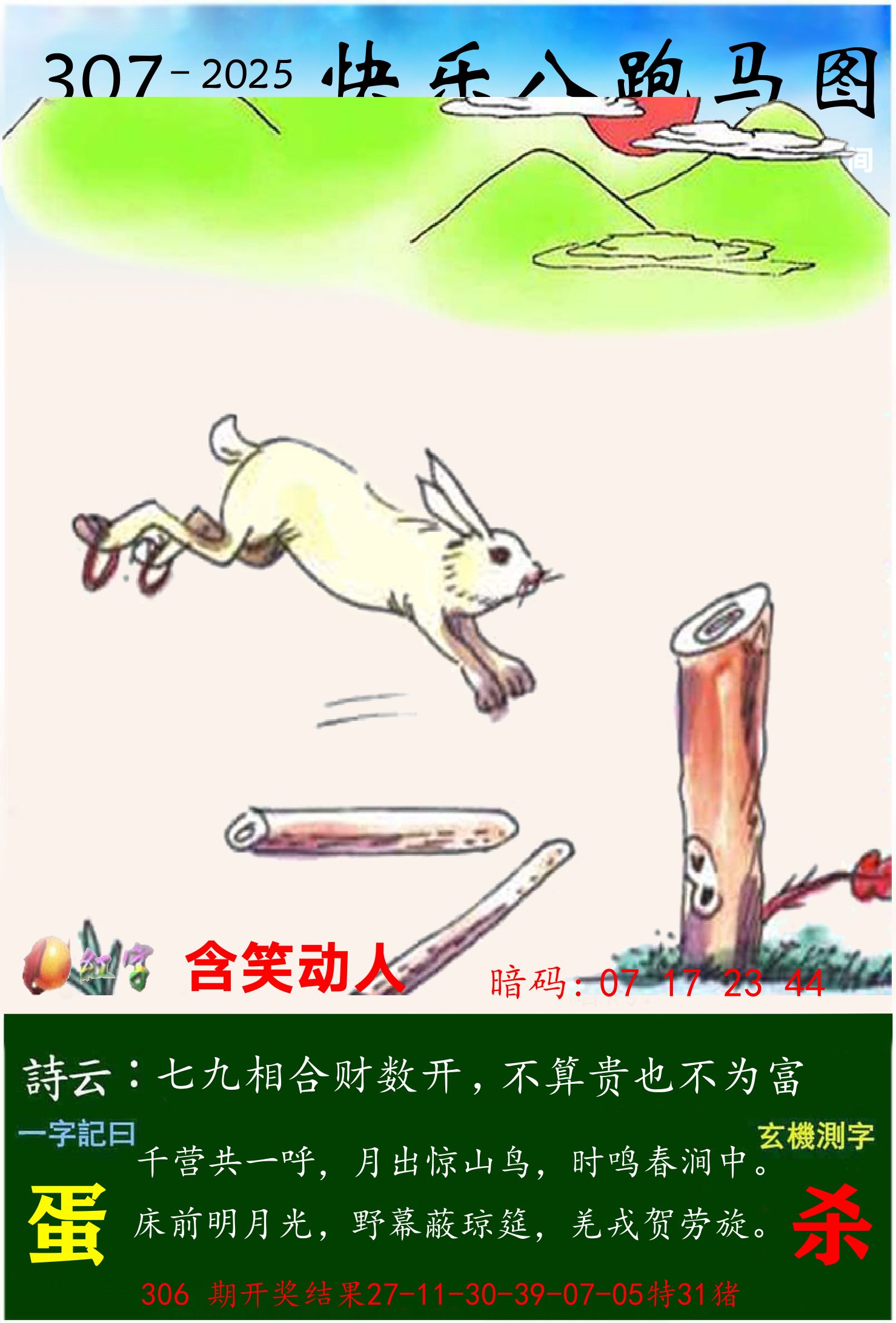 澳门跑马 第307期