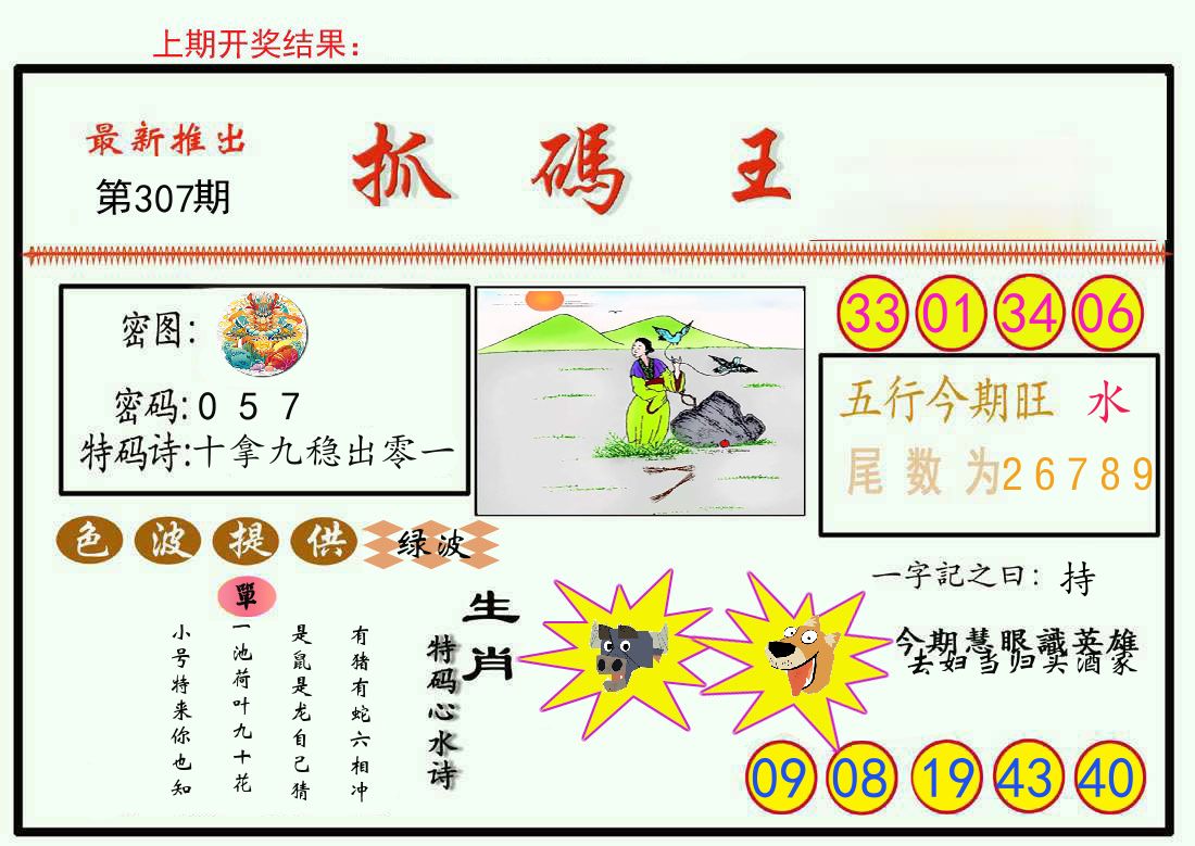最新抓码王 第307期