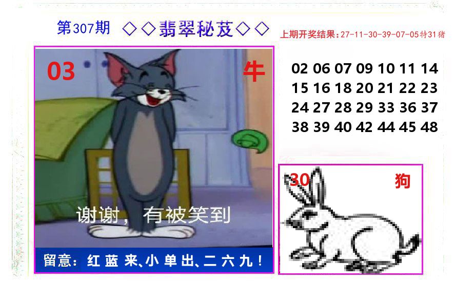 翡翠秘芨 第307期